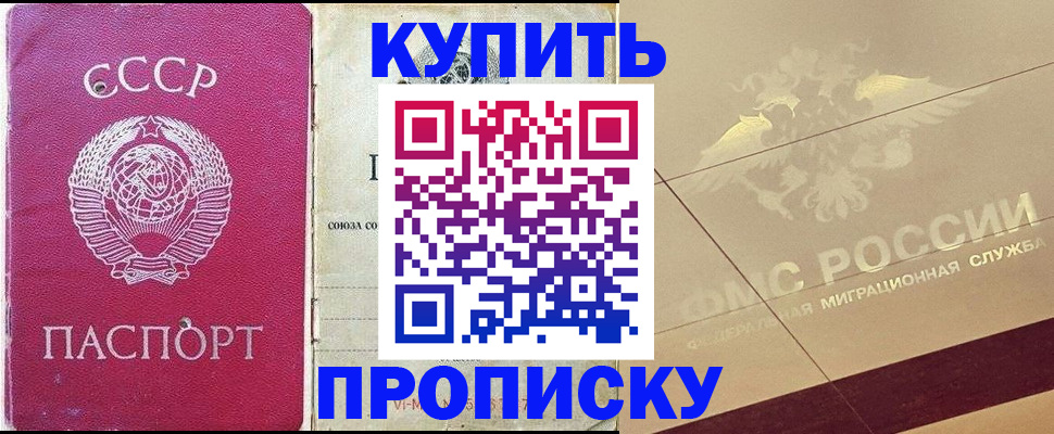 прописка для школы в Сольцах